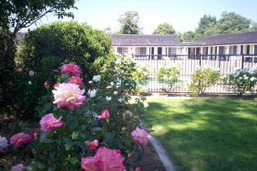 מוטל Southern Comfort Motor Inn