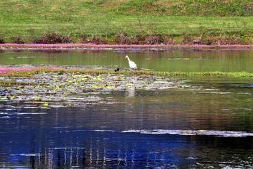 膳宿费 Mccarthy Lake House