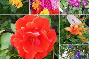 Отель Da Bräuhauser