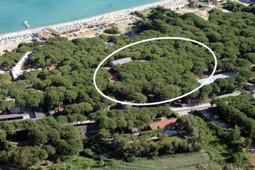 Отель Villa Nettuno