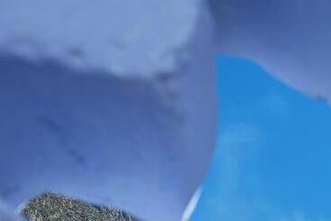 هاستل Hostal La Joya