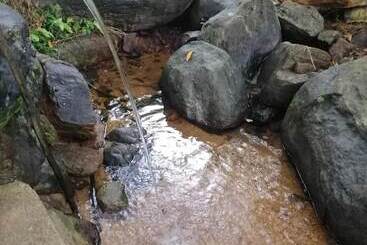 ペンション Seethawaka Royal Resort