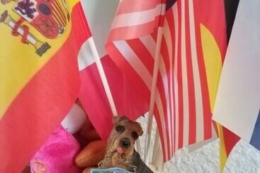 بنسيون Lori Travel Guest House