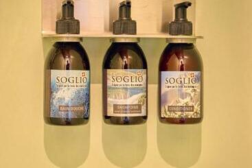 בית מלון כפרי Château Salavaux