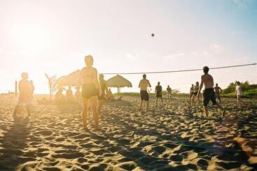 فندق صغير Surfing Turtle Lodge