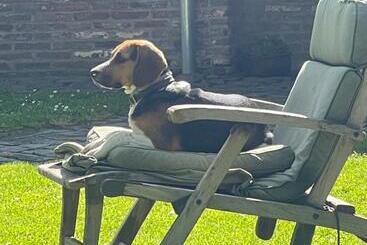 ベッドアンドブレックファースト Ma Campagne