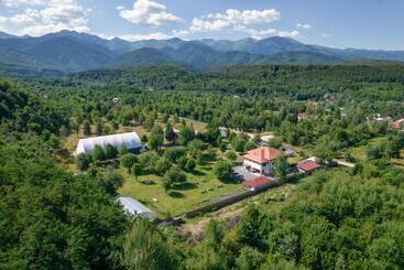 ホテル Pensiunea Negoiu