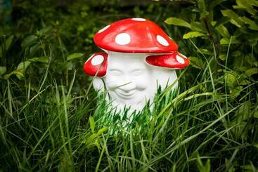 Пансион Casa De Vacanta Marya