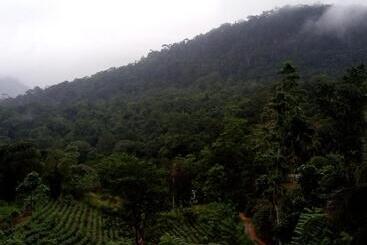 호텔 Evergreen Villa  Sinharaja