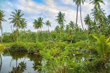 Milkyway Holiday Resort