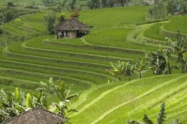 酒店 Cempaka Belimbing Villa