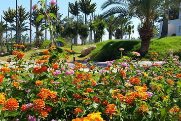 هتل Latchi Family Resort