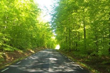 Пансион Vånga 77.1