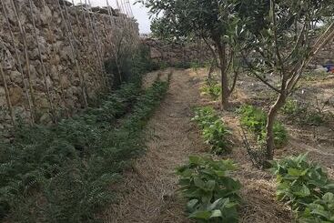 Dar Il Hena Organic B&b