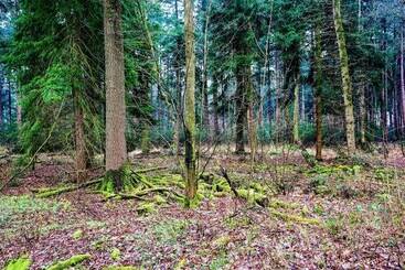 Жильё для туристов Alluring Holiday Home In Erp Near Forest