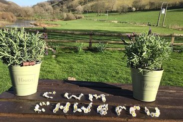 Cwm Chwefru Holiday Cottages