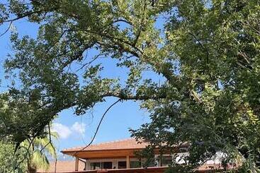 Отель Three Palms Suites