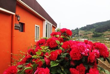 Hanudream Theme Pension