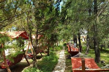 Dreamland Oasis 7 Chakvi
