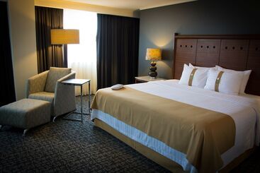 Отель Holiday Inn Mexico City   Trade Center, An Ihg