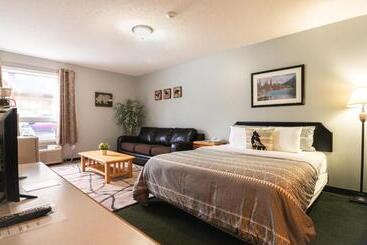 酒店 Mountain View Inn