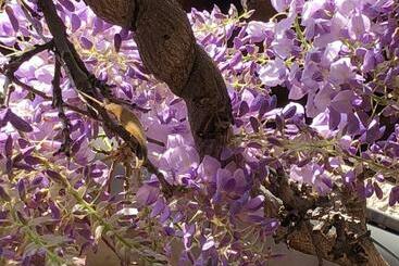 مبيت وإفطار Le Jardin De Félicie