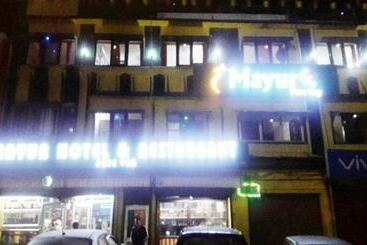 Mayur Hotel And Restaurant