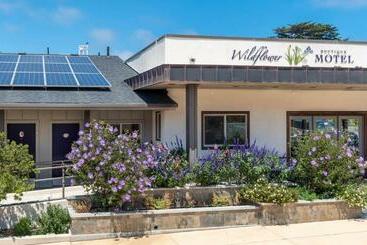 Wildflower Boutique Motel