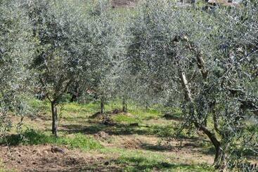 בית מלון כפרי I Due Melograni Agriresort