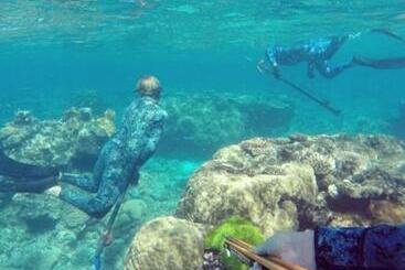 Kurrimine Beach Motel