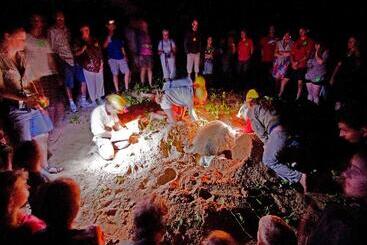 Отель Kellys Beach Resort