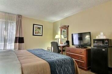 酒店 Comfort Inn Darien