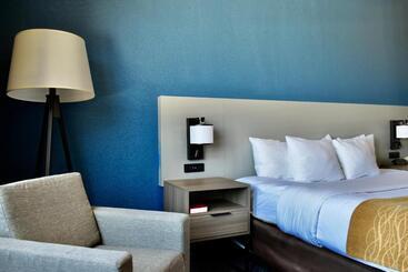 فندق Comfort Inn & Suites Cartersville   Emerson Lake Point