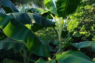 ペンション Mivals