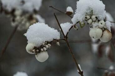 فندق Garni Das Pallottihaus Wien