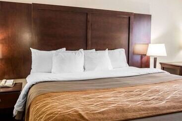 ホテル Comfort Inn & Suites At I 85