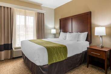 فندق Comfort Inn And Suites Griffin
