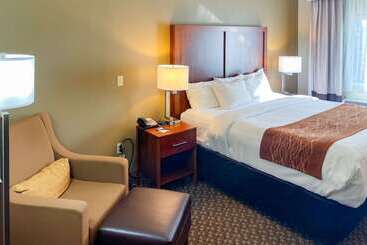 فندق Comfort Inn & Suites Midtown
