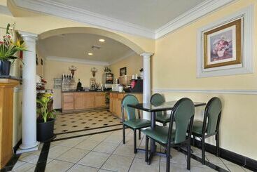 هتل Mccoy   Art, Libations, Pool Society