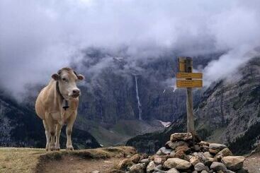 فندق Hôtel Vignemale