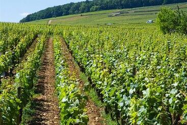 Les Paulands Chateaux & Hotels De France