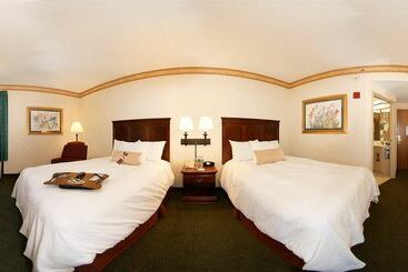 هتل Hampton Inn Manheim