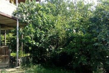 پانسیون House In The Forest