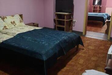 Pensiunea Mikelis International