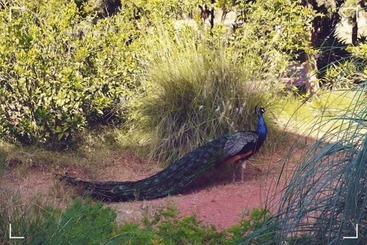 بنسيون Dar El Yasmine Biougra