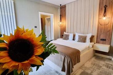 Отель Elexus Boutique