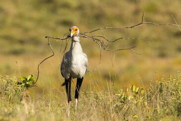 Annas Bed And Breakfast