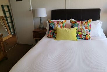 민박 The Lazy Lion