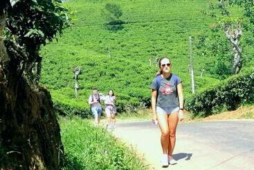 ペンション Ella Mount Villa