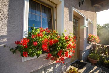 Пансион Penzion Pod šerákem